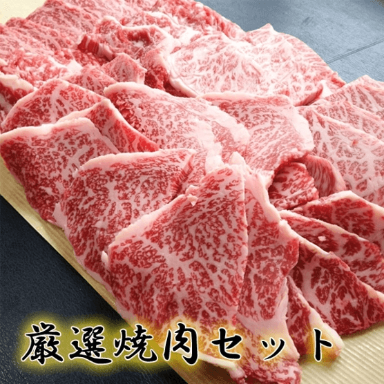 焼肉セット500g(2人～3人)鹿児島黒牛A4